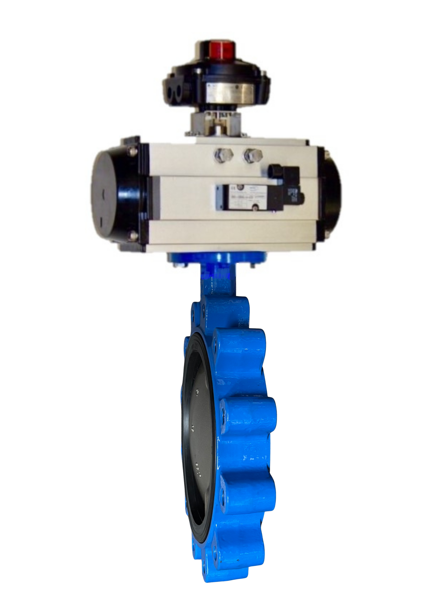 100-BF2-8988-00-PDA, 10" Lug Style Body, DI/NP Disc, EPDM Seat