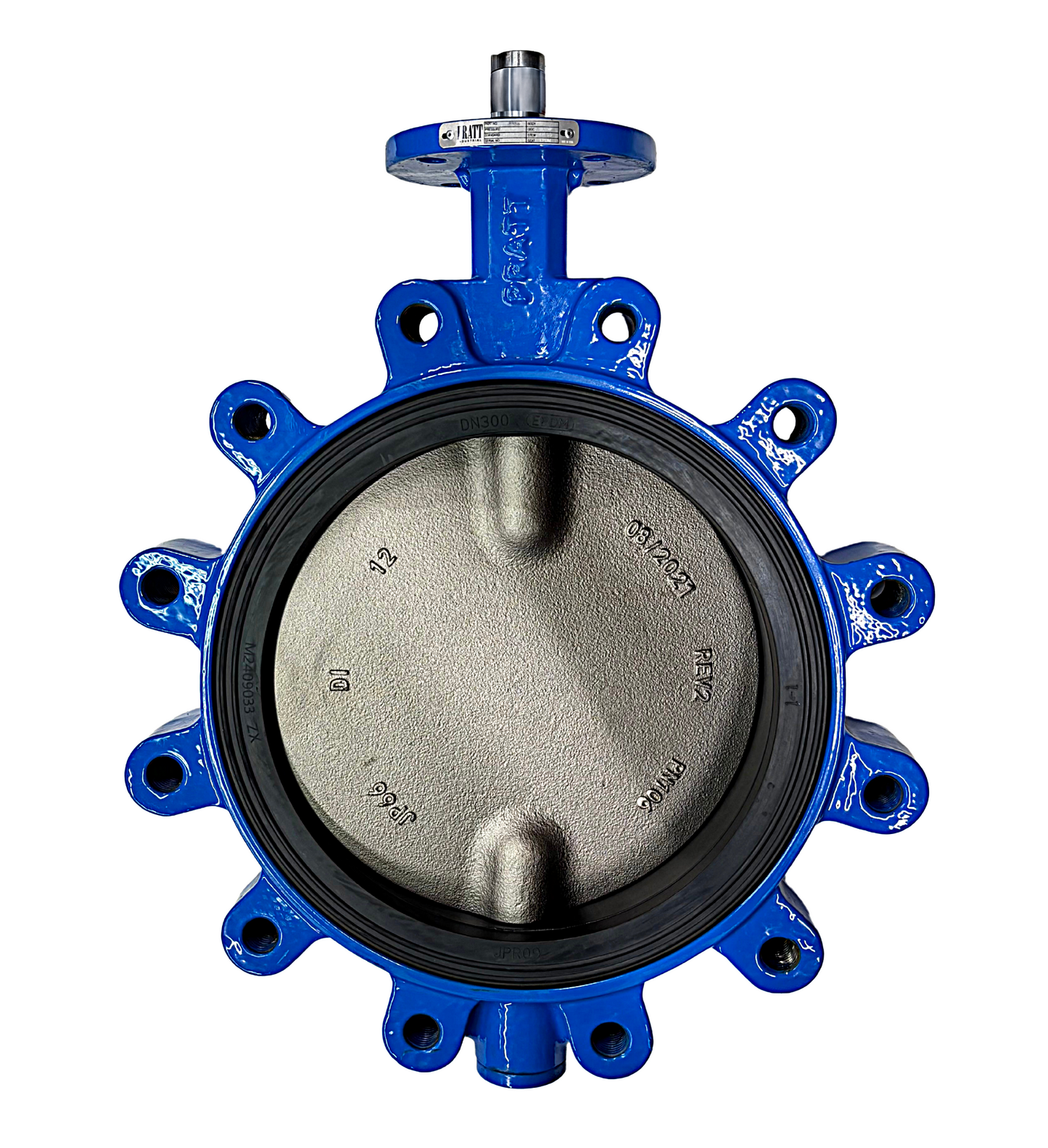 120-BF2-8988-00-K, 12" Lug Style Body, DI/NP Disc, EPDM Seat