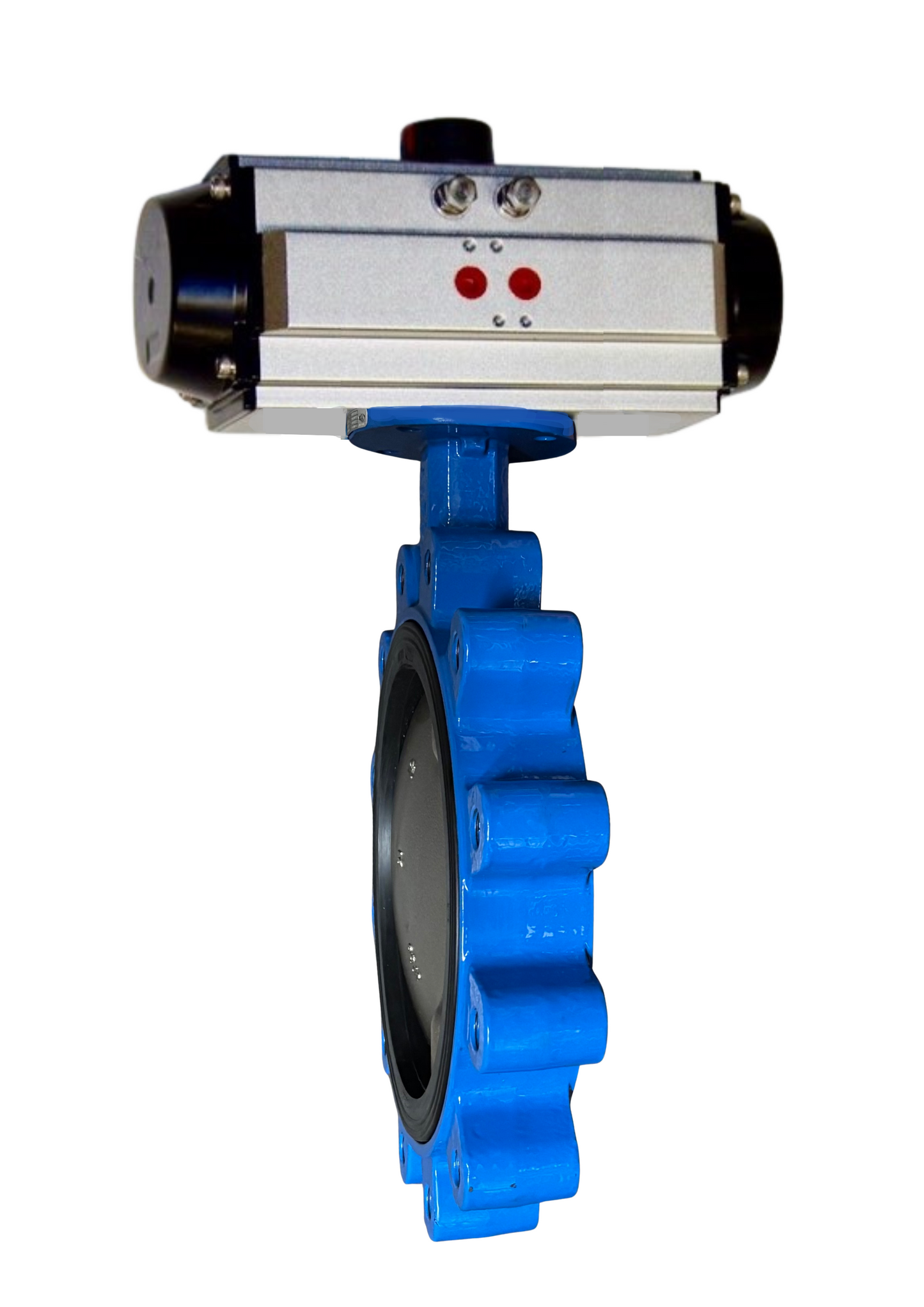 100-BF2-8988-00-PDA, 10" Lug Style Body, DI/NP Disc, EPDM Seat