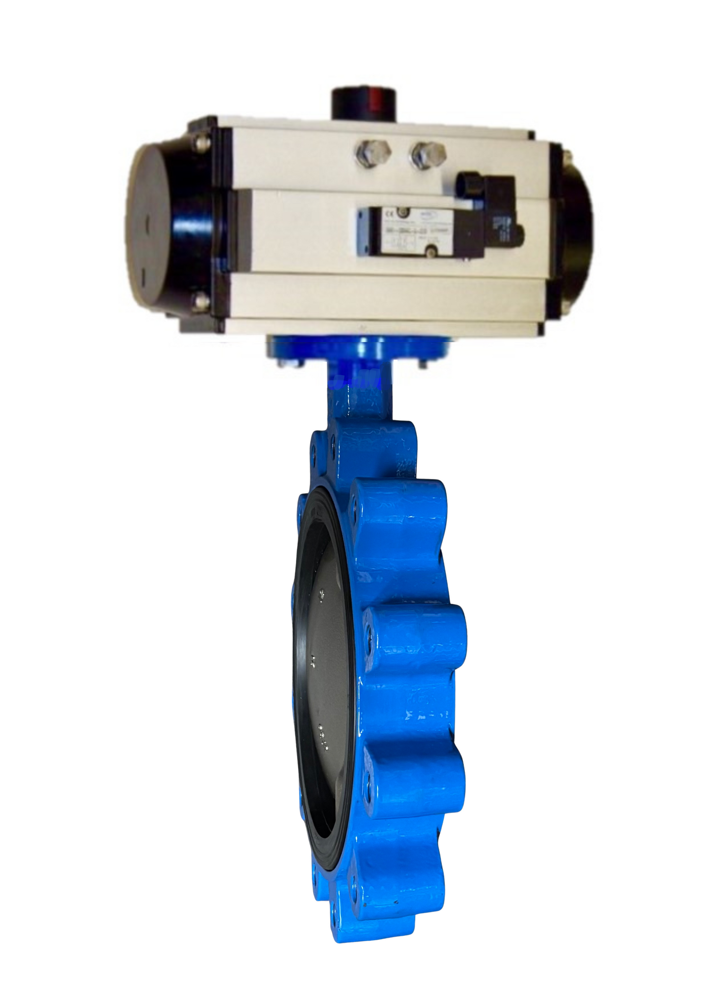 100-BF2-8988-00-PDA, 10" Lug Style Body, DI/NP Disc, EPDM Seat