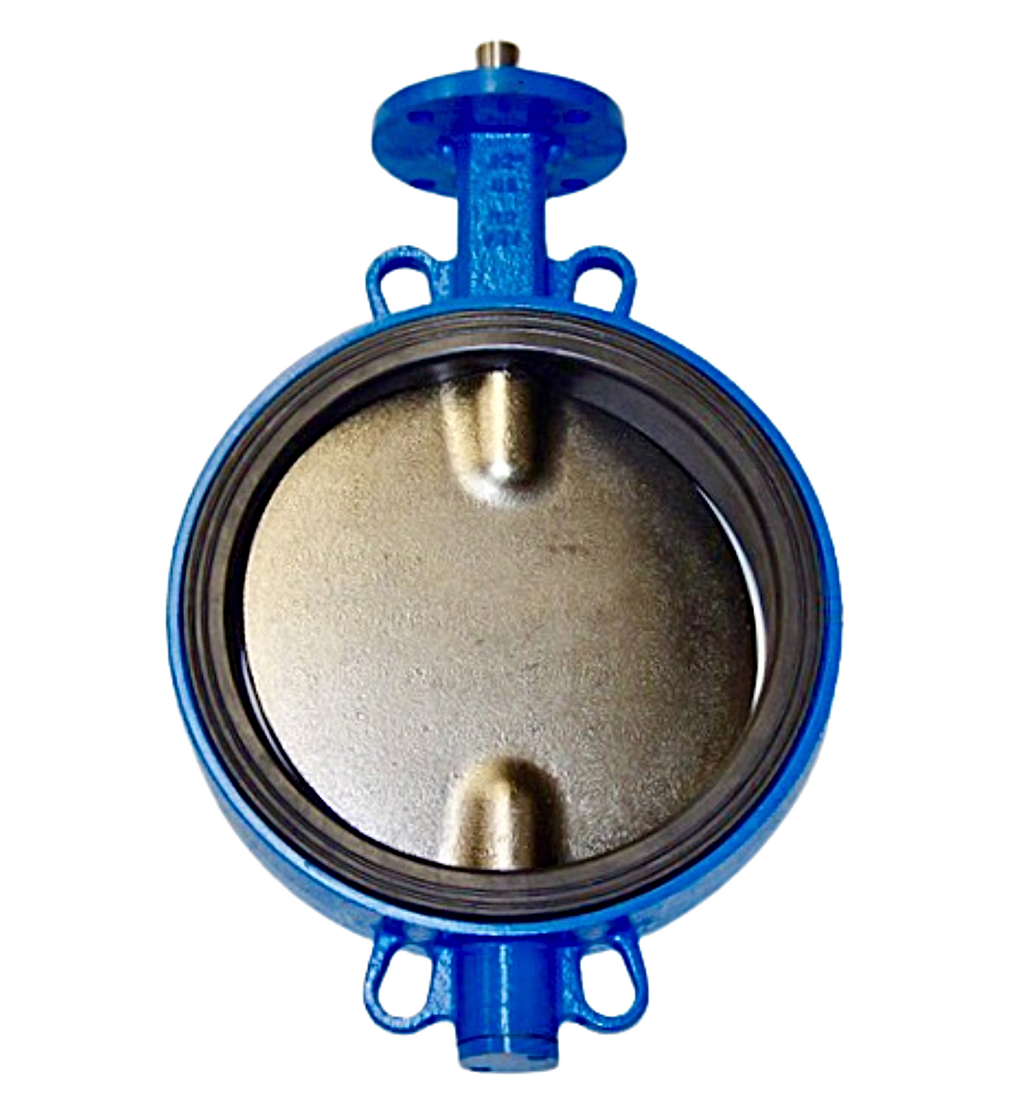 120-BF1-8988-00-K, 12" Wafer Style Body, DI/NP Disc, EPDM Seat