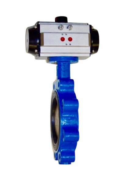 030-BF2-8988-00-PDA, 3" Lug Style Body, DI/NP Disc, EPDM Seat