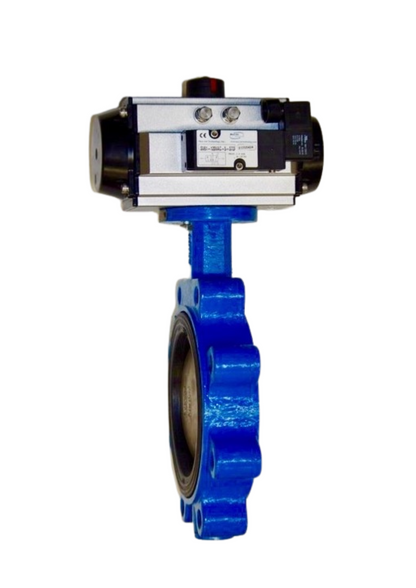 030-BF2-8988-00-PDA, 3" Lug Style Body, DI/NP Disc, EPDM Seat