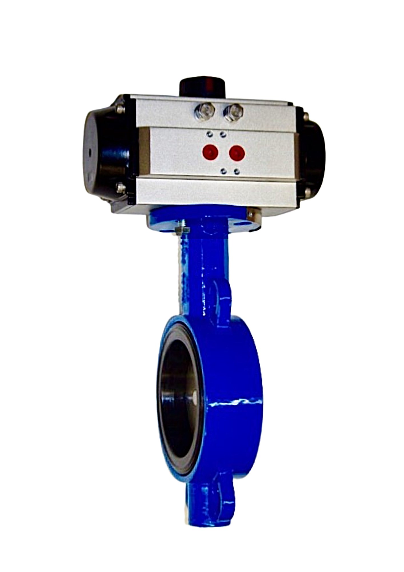 020-BF2-8988-00-PFC, 2" Lug Style Body, DI/NP Disc, EPDM Seat