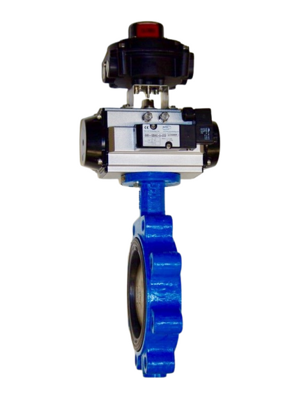 080-BF2-8988-00-PDA, 8" Lug Style Body, DI/NP Disc, EPDM Seat