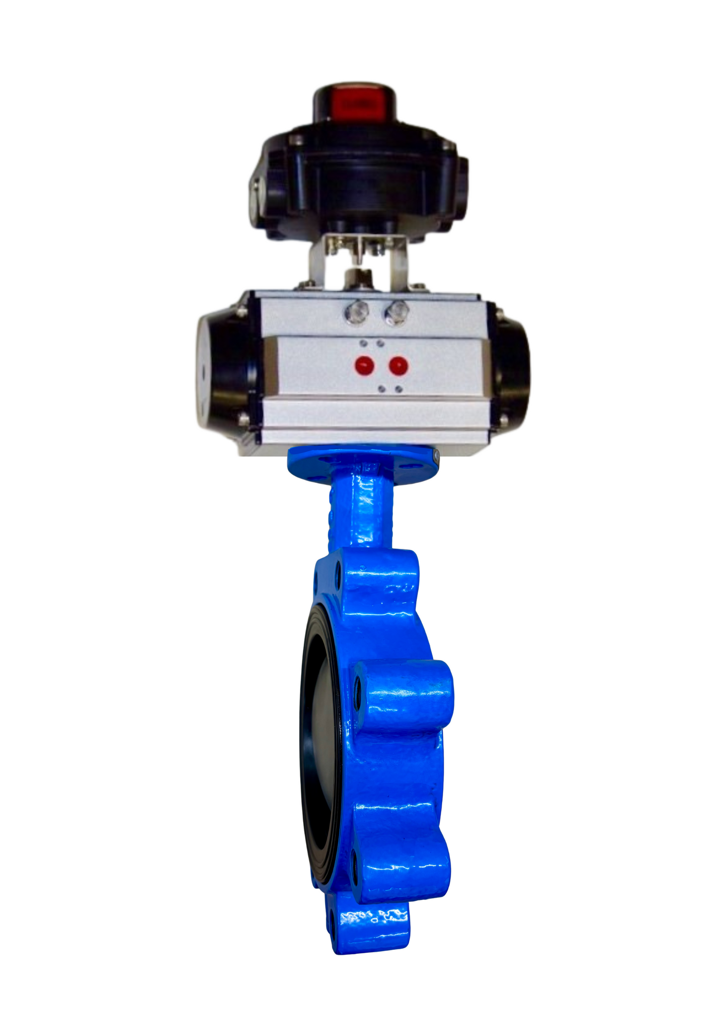 040-BF2-8988-00-PDA, 4" Lug Style Body, DI/NP Disc, EPDM Seat