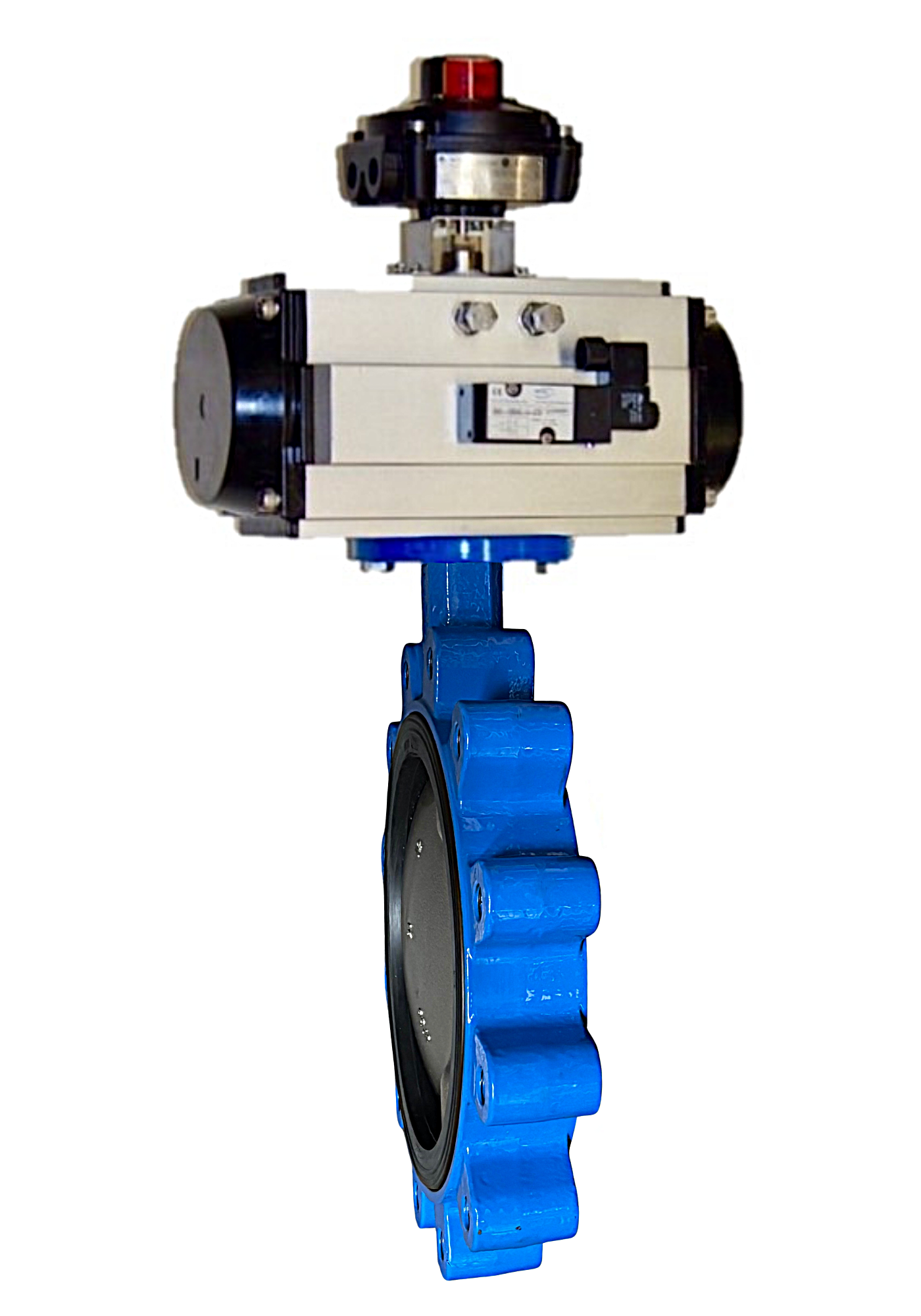 100-BF2-8988-00-PDA, 10" Lug Style Body, DI/NP Disc, EPDM Seat