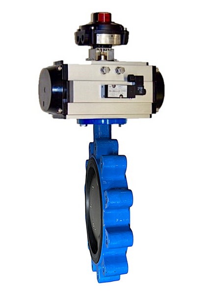 100-BF2-8988-00-PDA, 10" Lug Style Body, DI/NP Disc, EPDM Seat